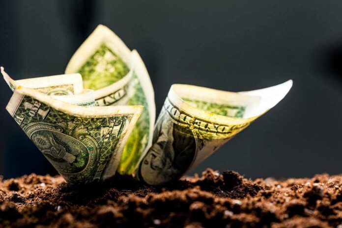 American dollars grow from the ground